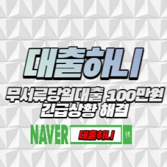 일수/월변/당일급전 대출하니 통해 알아보기!!