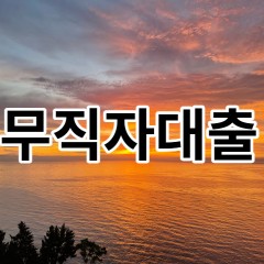 무직자대출 무직자일수 무직자월변 진행 편리한 대출중개플랫폼 대출하니