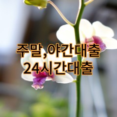 주말 야간 24시간 대부대출 진행 어떻게 받는건가요?