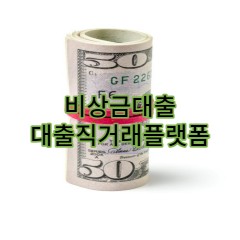 비상금대출 대출직거래 플랫폼 대출하니