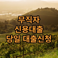 무직자신용대출 무직자비상금대출 가능한곳 BEST