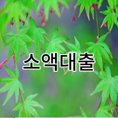 소액대출 당일급전 1.2금융 막혀버린 상황에서 대부대출 이용할때