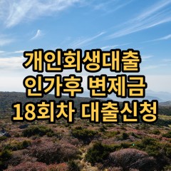 개인회생대출 인가후18회차 개인회생대출 변제금18회차 개인회생중대출 미납금18회차 대출가능한곳