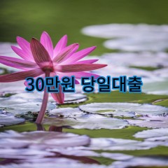 30만원 급전 당일 소액 일수 월변