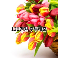 130만원주부대출 급전 당일 소액 일수 월변