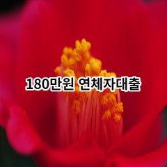 180만원 연체자대출 급전 당일 소액 일수 월변