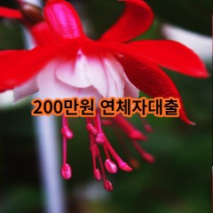 200만원 연체자대출 급전 당일 소액 일수 월변