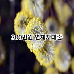 300만원 연체자대출 급전 당일 소액 일수 월변