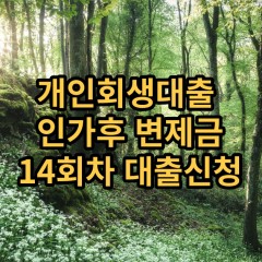 개인회생대출 인가후14회차 개인회생대출 변제금14회차 개인회생중대출 미납금14회차 대출가능한곳