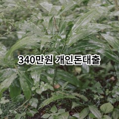 340만원개인돈대출 급전 당일 소액 일수 월변