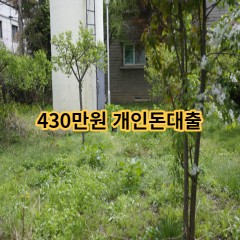 430만원개인돈대출 급전 당일 소액 일수 월변