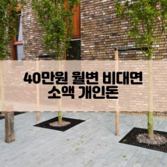 40만원소액대출 40만원개인돈대출 40만원월변대출 40만원비대면대출