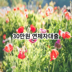 30만원 연체자대출 급전 당일 소액 일수 월변