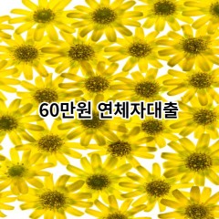 60만원 연체자대출 급전 당일 소액 일수 월변