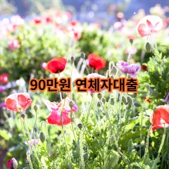 90만원 연체자대출 급전 당일 소액 일수 월변