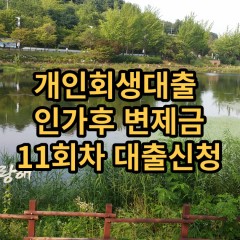 개인회생대출 인가후11회차 개인회생대출 변제금11회차 개인회생중대출 미납금11회차 대출가능한곳