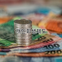 신용불량자 개인회생제도란 무엇인가요?