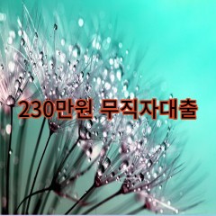 230만원무직자대출 급전 당일 소액 일수 월변