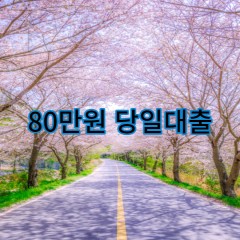 80만원대출 급전 당일 소액 일수 월변