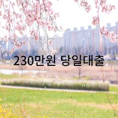 230만원대출 급전 당일 소액 일수 월변