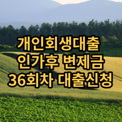 개인회생대출 인가후36회차 개인회생대출 변제금36회차 개인회생중대출 미납금36회차 대출가능한곳