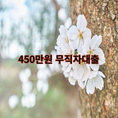 450만원무직자대출 급전 당일 소액 일수 월변