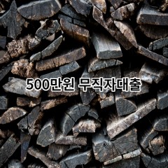 500만원무직자대출 급전 당일 소액 일수 월변