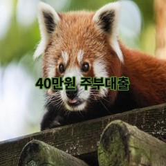 40만원주부대출 급전 당일 소액 일수 월변