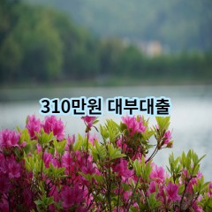 310만원 대부대출 급전 당일 소액 일수 월변