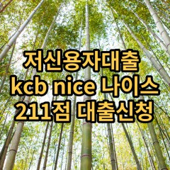 저신용자대출 kcb211점 저신용소액대출 nice211점 저신용비대면대출 나이스211점 신용대출가능한곳