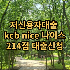 저신용자대출 kcb214점 저신용소액대출 nice214점 저신용비대면대출 나이스214점 신용대출가능한곳