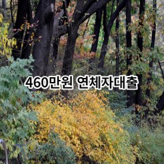 460만원 연체자대출 급전 당일 소액 일수 월변