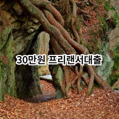 30만원 프리랜서대출 급전 당일 소액 일수 월변