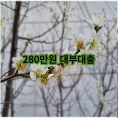 280만원 대부대출 급전 당일 소액 일수 월변