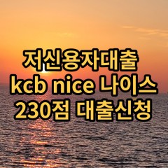 저신용자대출 kcb230점 저신용소액대출 nice230점 저신용비대면대출 나이스230점 신용대출가능한곳