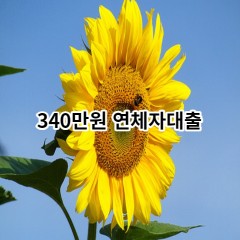 340만원 연체자대출 급전 당일 소액 일수 월변