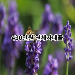 430만원 연체자대출 급전 당일 소액 일수 월변