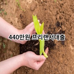 440만원 프리랜서대출 급전 당일 소액 일수 월변