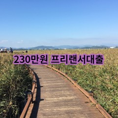 230만원 프리랜서대출 급전 당일 소액 일수 월변