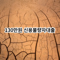 130만원 신용불량자대출 급전 당일 소액 일수 월변