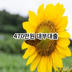 470만원 대부대출 급전 당일 소액 일수 월변