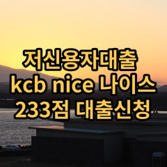 저신용자대출 kcb233점 저신용소액대출 nice233점 저신용비대면대출 나이스233점 신용대출가능한곳