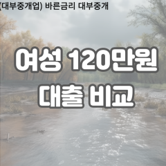 여성 월변120만원대출 소액120만원대출 개인돈120만원 비대면120만원