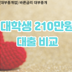 대학생 월변210만원대출 소액210만원대출 개인돈210만원 비대면210만원