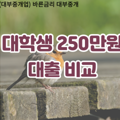 대학생 월변250만원대출 소액250만원대출 개인돈250만원 비대면250만원