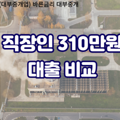 직장인 월변310만원대출 소액310만원대출 개인돈310만원 비대면310만원