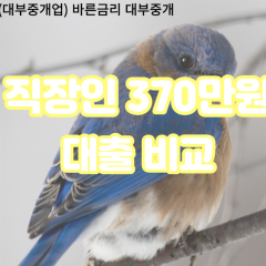 직장인 월변370만원대출 소액370만원대출 개인돈370만원 비대면370만원