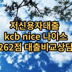 저신용자대출 kcb262점 저신용소액대출 nice262점 저신용비대면대출 나이스262점 신용대출비교상담