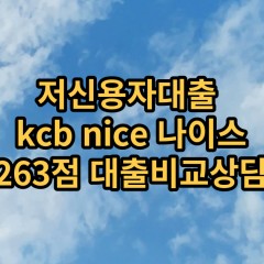 저신용자대출 kcb263점 저신용소액대출 nice263점 저신용비대면대출 나이스263점 신용대출비교상담