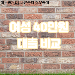 여성 월변40만원대출 소액40만원대출 개인돈40만원 비대면40만원